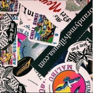 30 pc random brandy melville stickers